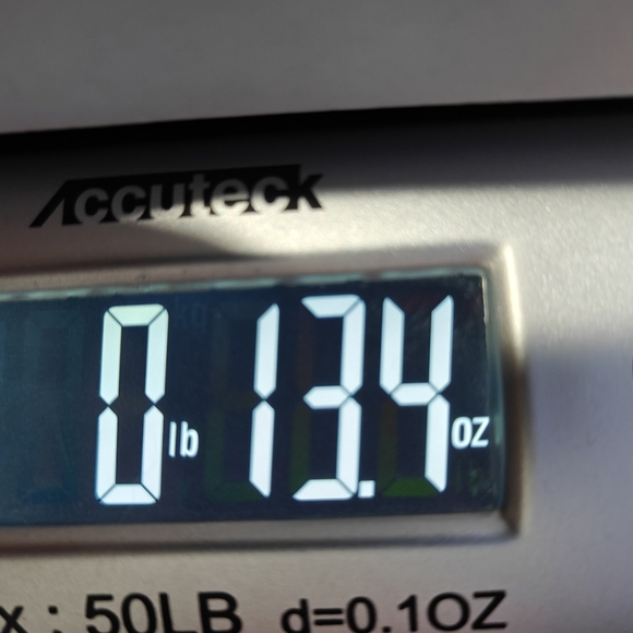 NWT Steve Madden Vegan Leather Anastasia Leggings Hunter Green Size Large - Picture 7 of 8